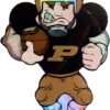 Purdue Boilermakers Window Light Up Player 20 Inch Double Sided CO
