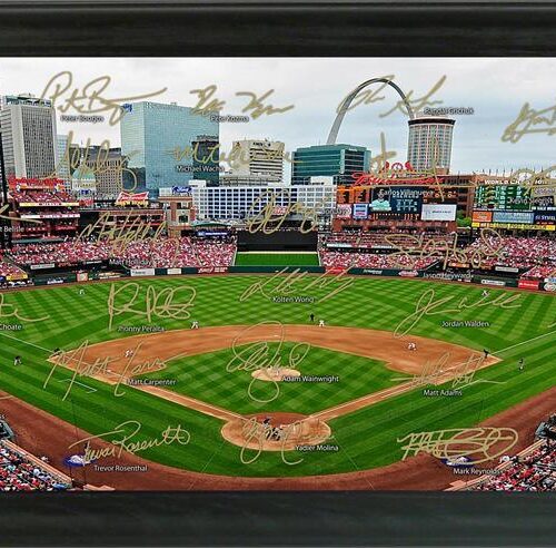 St. Louis Cardinals Framed Signature Field