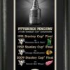 Pittsburgh Penguins Legacy Supreme Bronze Coin Panoramic Photo Mint