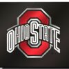 Ohio State Buckeyes License Plate Laser Cut Black