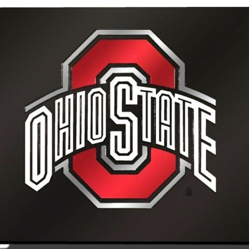 Ohio State Buckeyes License Plate Laser Cut Black