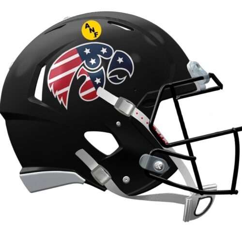 Iowa Hawkeyes Helmet Riddell Replica Mini Speed Style Stars and Stripes Design