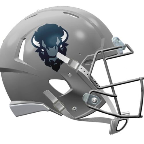 Howard Bison Helmet Riddell Replica Mini Speed Style